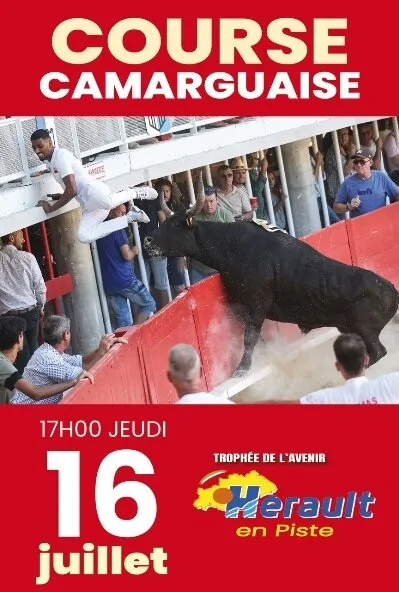 affiche